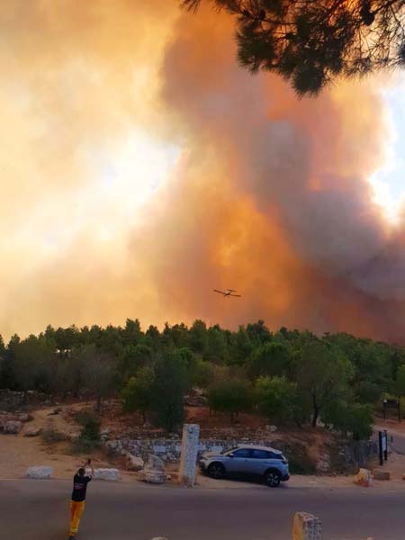 WhatsApp Image 2021-08-16 at 4.33.11 PM (1).jpeg.jpg